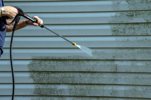 Best Roof Power Washing Services  in Willow Springs, MO